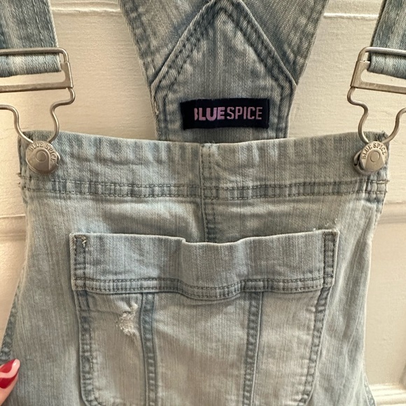 Blue spice distressed overalls - Picture 4 of 6